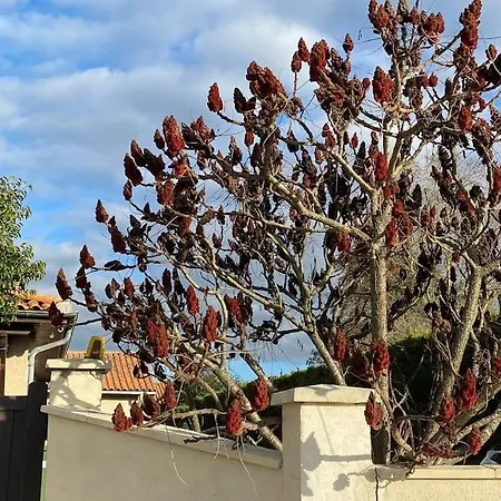 Avec Piscine, Proche De Toutes Commodites Sainte-Eulalie (Gironde)